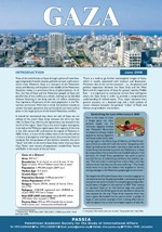 Gaza - Special Bulletin